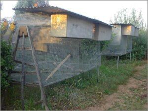 centro de cr&iacute;a