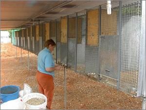 centro de cr&iacute;a