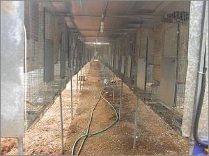 centro de cr&iacute;a