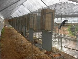 centro de cr&iacute;a