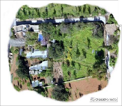 centro de cr&iacute;a