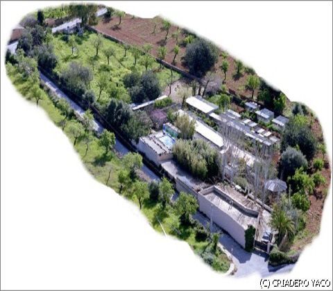 centro de cr&iacute;a