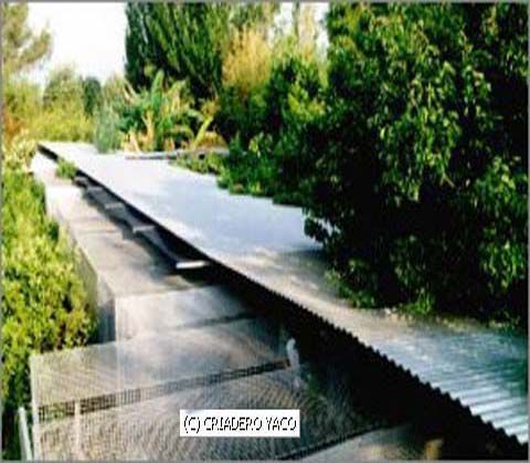 centro de cr&iacute;a