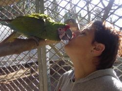 Mª Antonia Bautista